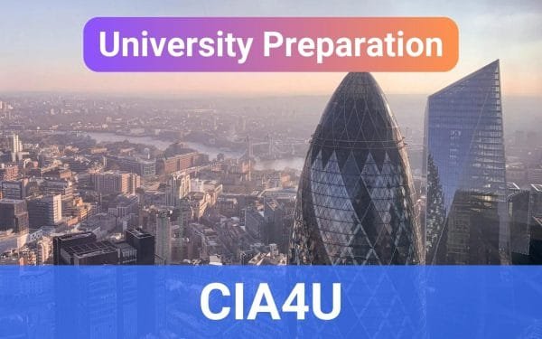 [2.0] Analysing Current Economic Issues | G12 | CIA4U