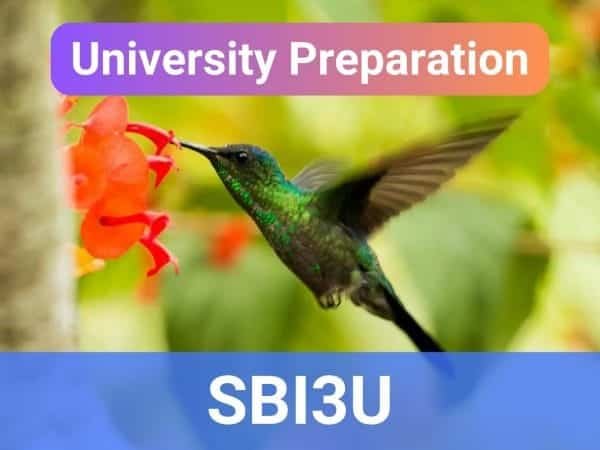 [2.0] Biology | G11 | SBI3U