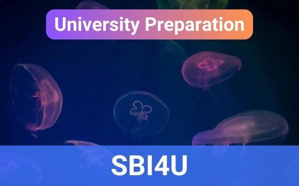 [2.0] Biology | G12 | SBI4U