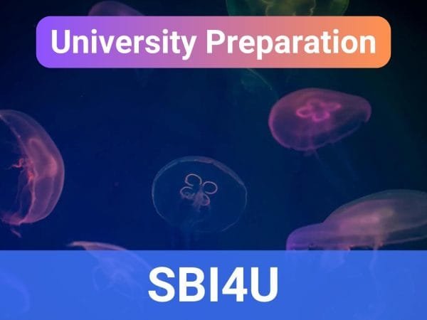 [2.0] Biology | G12 | SBI4U